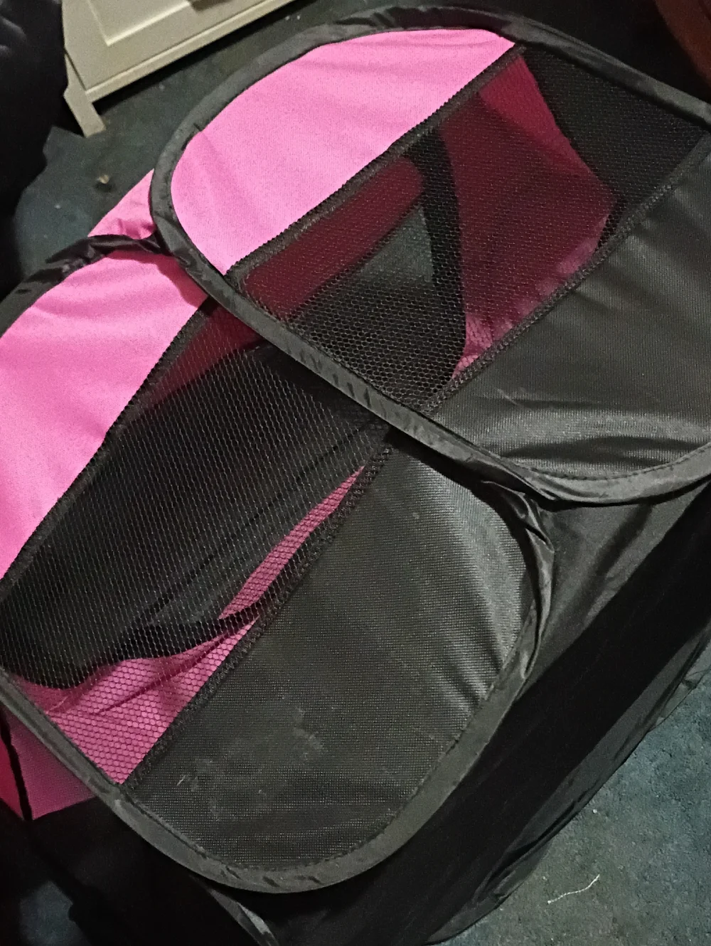Portable Fold Up Dog Crate
